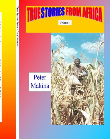 True Stories From Africa Volume 1