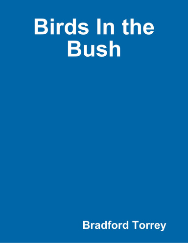 Birds In the Bush