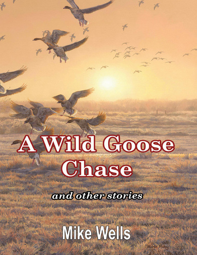 A Wild Goose Chase: And Other Stories