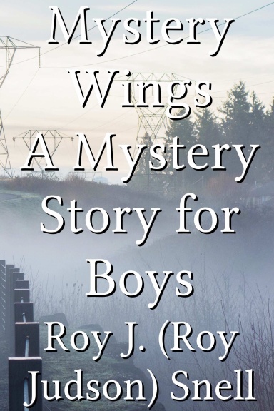 Mystery Wings A Mystery Story for Boys