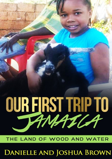 Our First Trip To Jamaica: land of wood and water