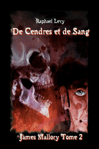James Mallory tome 2 : de Cendres et de Sang (Version Ebook)