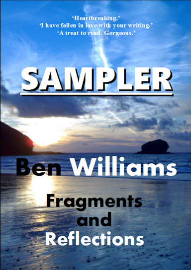 Fragments and Reflections - Sampler