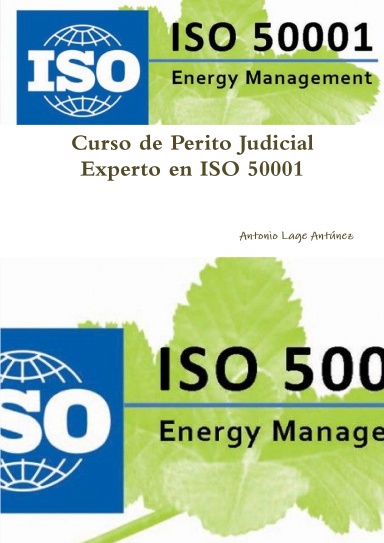 Curso de Perito Judicial Experto en ISO 50001