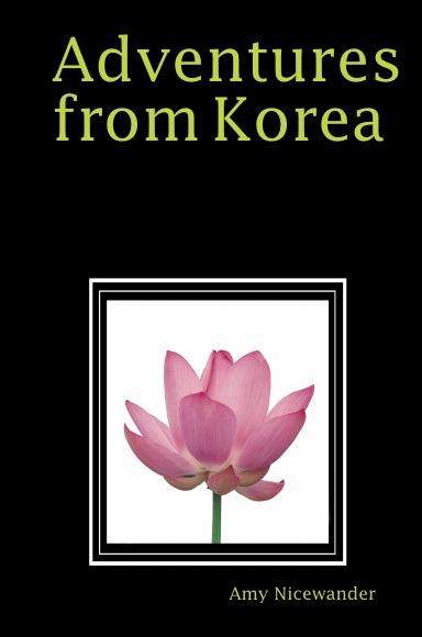 Adventures in Korea