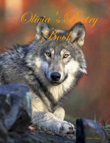 Olivia's Poetry Book