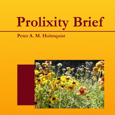 Prolixity Brief