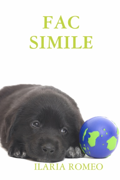 FAC SIMILE