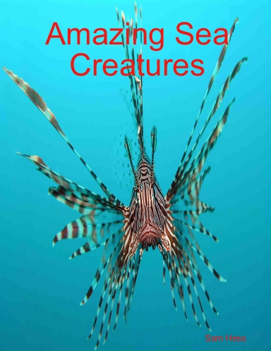 Awesome and Cool Sea Creatures