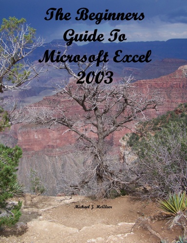 The Beginners Guide to Microsoft Excel 2003