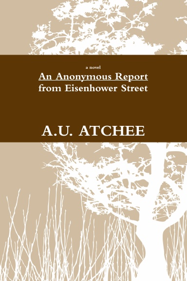 An Anonymous Report from Eisenhower Street
