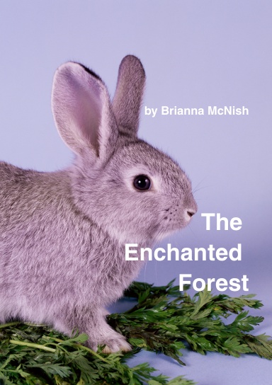 The Enchanted Forest