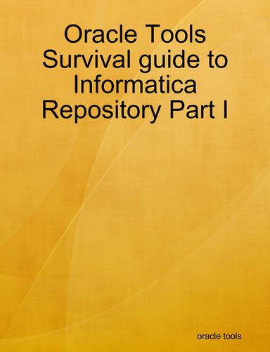 Oracle Tools Survival guide to Informatica Repository Part I