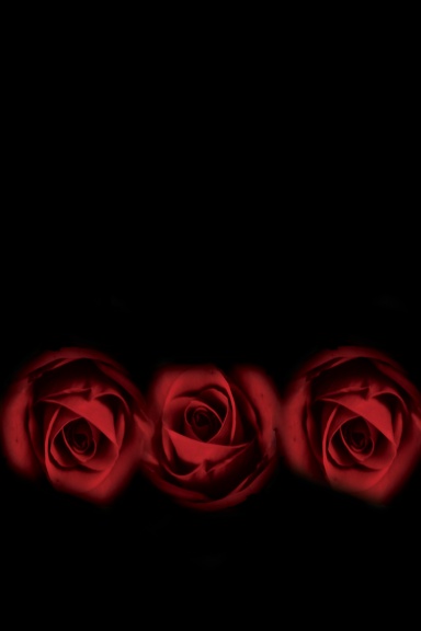 The Heart's Home