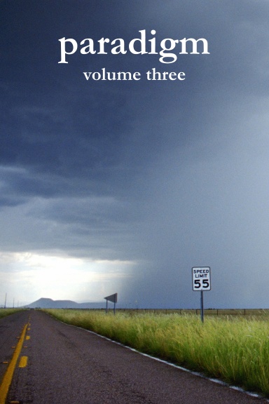 PARADIGM, Volume Three