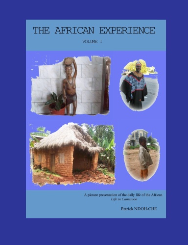 THE AFRICAN EXPERIENCE - VOLUME 1