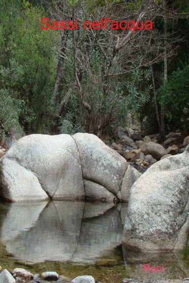 Sassi nell'acqua
