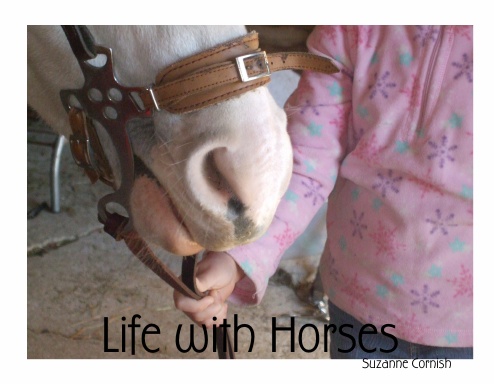 Life with Horses