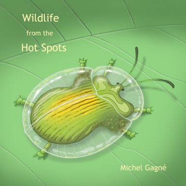 Wildlife from the Hot Spots