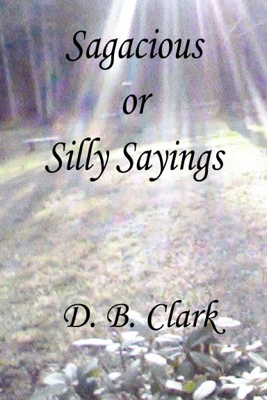 Sagacious or Silly Sayings