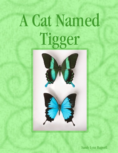 A Cat Named Tigger