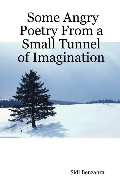 Some Angry Poetry From a Small Tunnel of Imagination