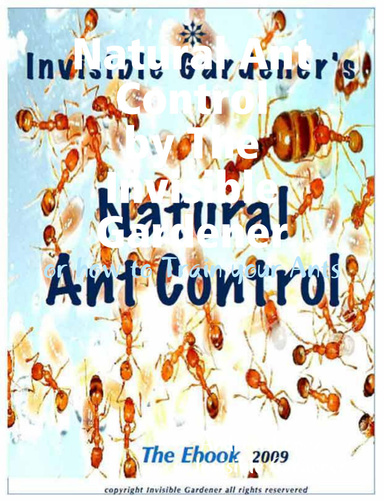 Natural Ant Control