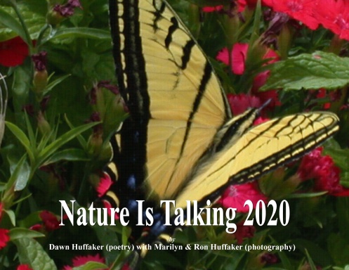 Nature Is Talking 2020