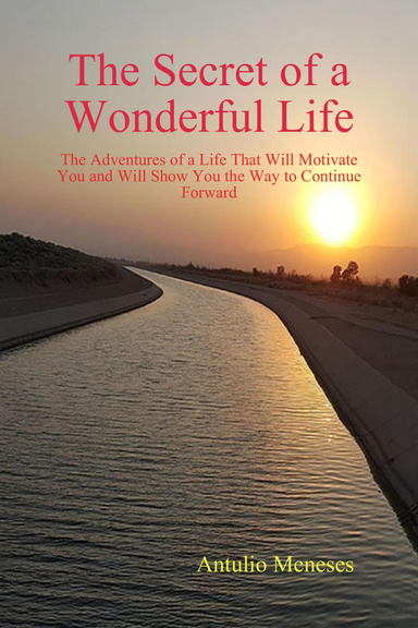 The Secret of a Wonderful Life: The Adventures of a Life That Will Motivate You and Will Show You the Way to Continue Forward