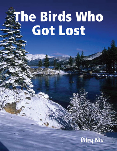 The Birds Who Got Lost