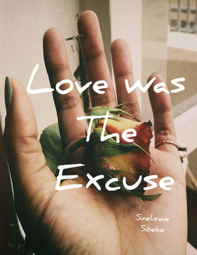 Love Was the Excuse
