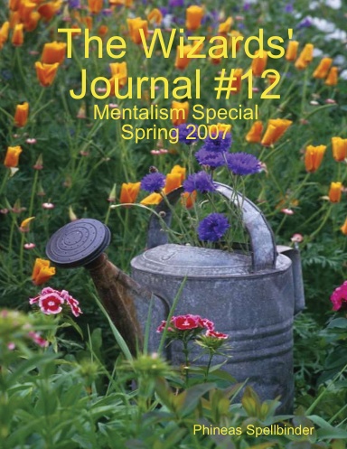 The Wizards' Journal #12