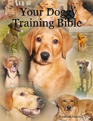 Your Doggy Training Bible