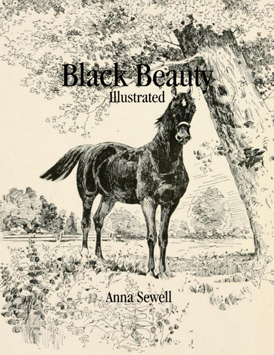 Black Beauty: Illustrated