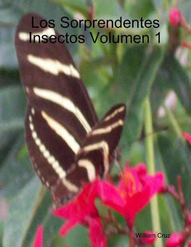 Los Sorprendentes Insectos Volumen 1