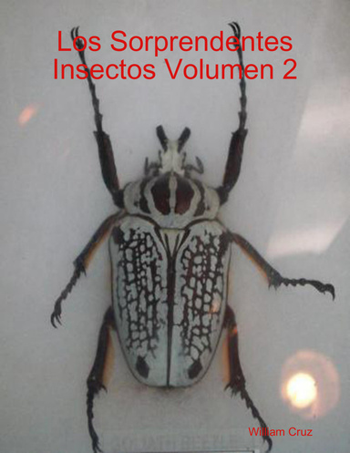 Los Sorprendentes Insectos Volumen 2