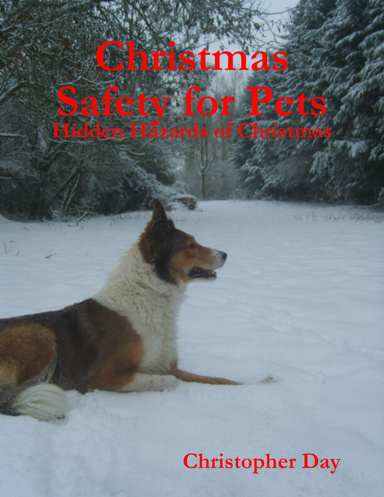 Christmas Safety for Pets - Hidden Hazards of Christmas