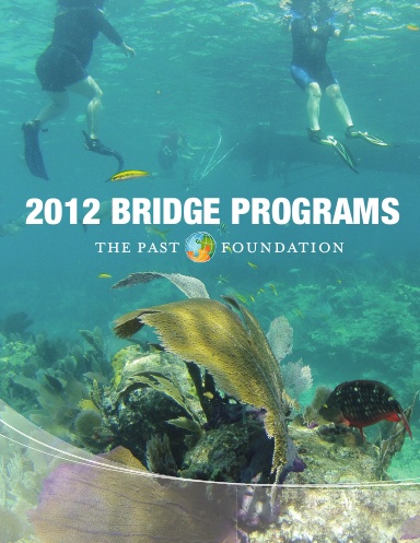 2012 Bridge Programs Report