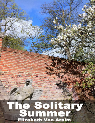 The Solitary Summer