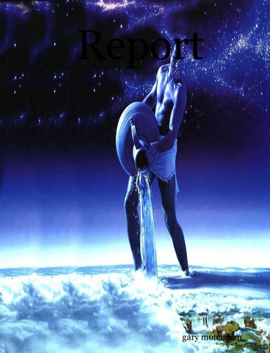 Report
