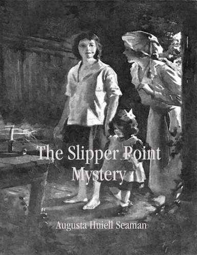 The Slipper Point Mystery