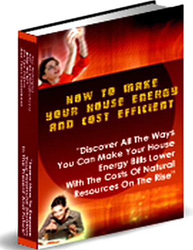 Home Energy And Cost Efficient