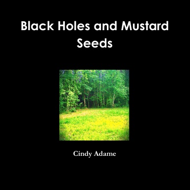 Black Holes and Mustard Seeds
