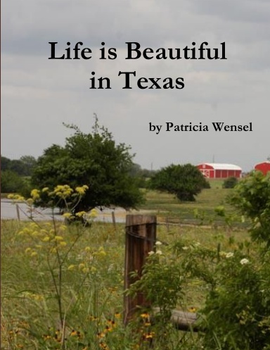 Life is Beautiful in Texas