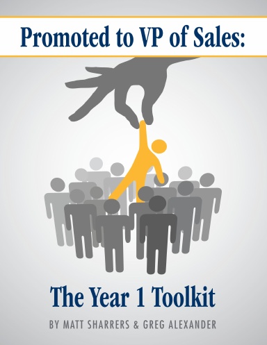 Promoted to VP of Sales: The Year 1 Toolkit