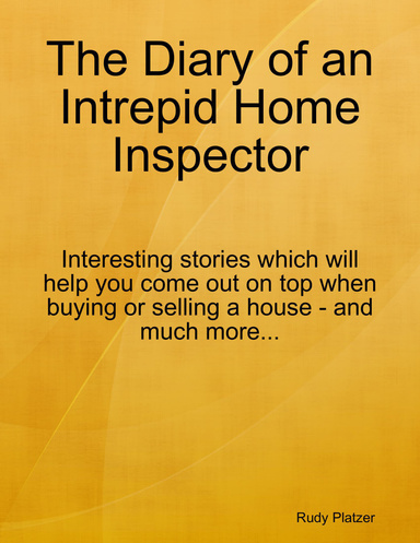 The Diary of an Intrepid Home Inspector
