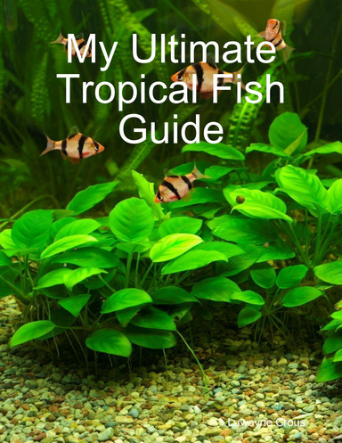 My Ultimate Tropical Fish Guide