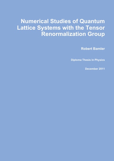 Numerical Studies of Quantum Lattice Systems with the Tensor Renormalization Group
