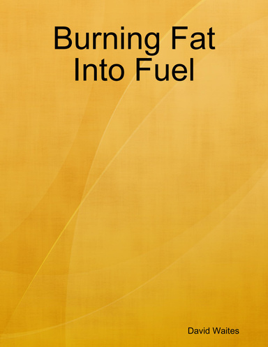 Burning Fat Into Fuel