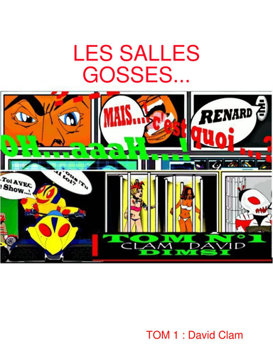 B.D TOM 1 :L'original Dimsi